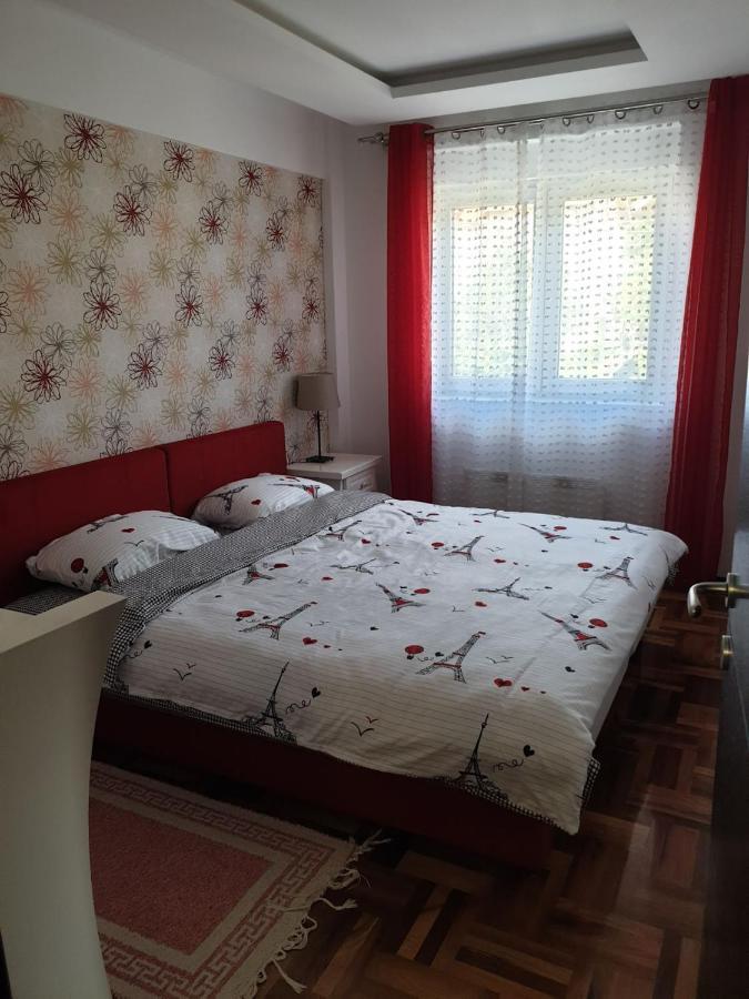 Lux Apartman Ristić 2 Sokobanja Zewnętrze zdjęcie