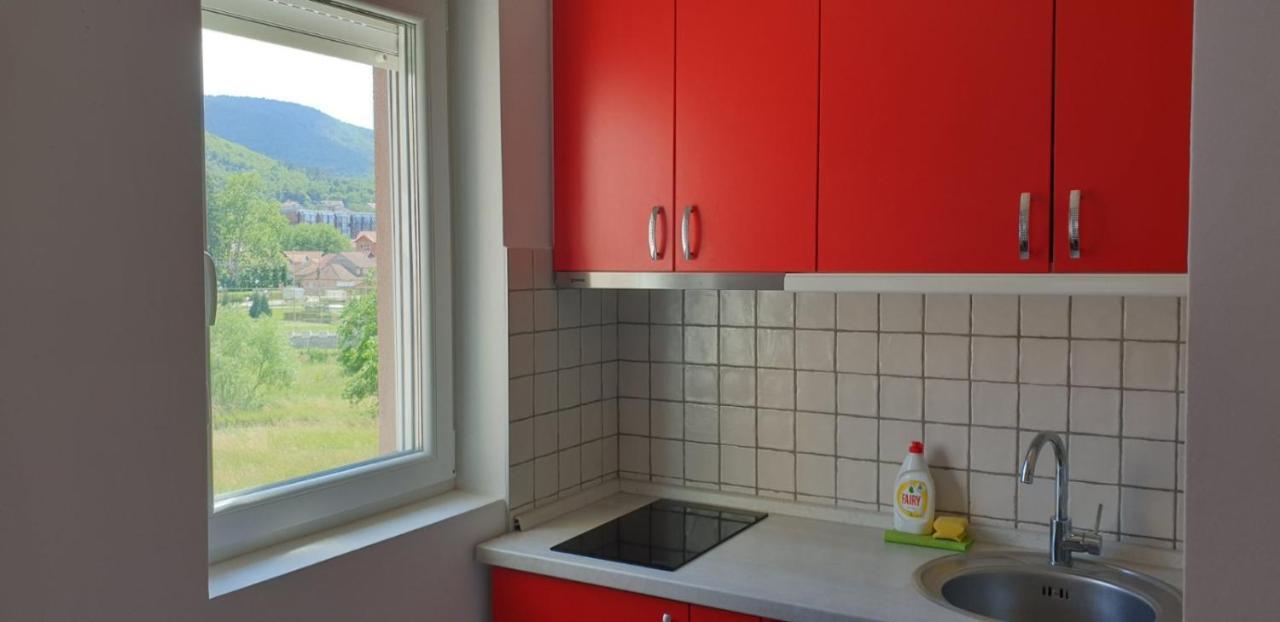 Lux Apartman Ristić 2 Sokobanja Zewnętrze zdjęcie