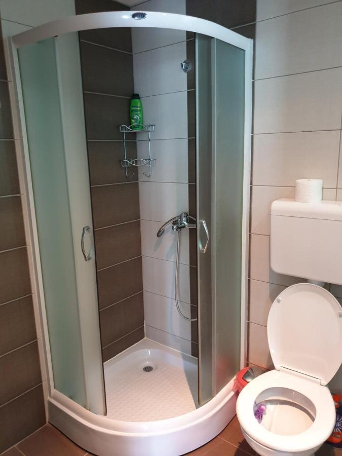 Lux Apartman Ristić 2 Sokobanja Zewnętrze zdjęcie